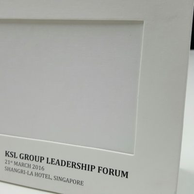 Printed Promotional Materials and Brochures
